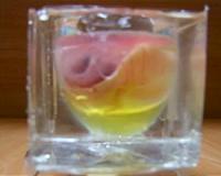 Transparent PDMS eggshell created as step towards embryo lab on a chip