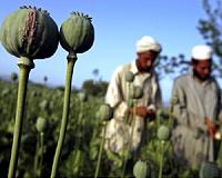Australian police probe soldier who shot unarmed Afghan