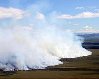 Scientists warn of 'zombie fires' in the Arctic