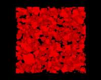 Nanoparticle supersoap creates 'bijel' with potential as sculptable fluid