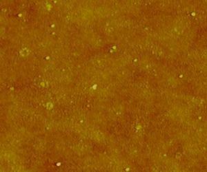 Nanoparticles and their size may not be big issues