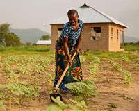 Women bear the brunt of climate change in Angola