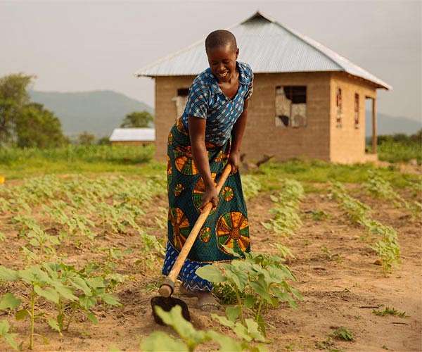 World needs food system 'transformation' to tackle climate: expert