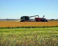 Five Industries Worried About Peak Oil