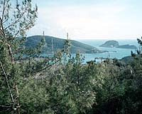 Turkish court blocks nuclear plant project: union