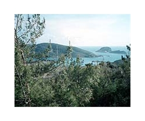 Candu applies to build Turkey nuclear plant
