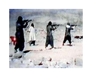 Al-Qaida reaffirms Afghan presence