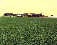 WTO Urges G8 Leaders To Reform Agriculture