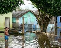 Life of misery for Brazil's Amazon pioneers