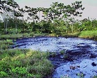 Chevron's Amazon 'fake cleanup' trial