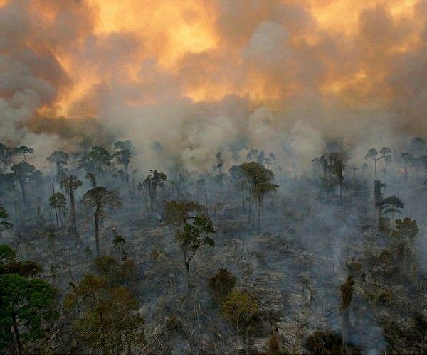 Amazon forest loses area the size of Germany and France, fueling fires
