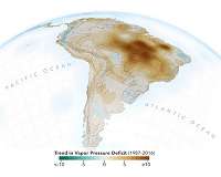 Human activities are drying out the Amazon