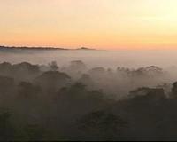Amazon forest fire threatens natives, wildlife in Peru