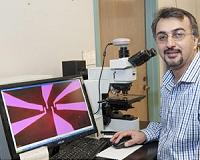 New catalyst converts carbon dioxide to fuel