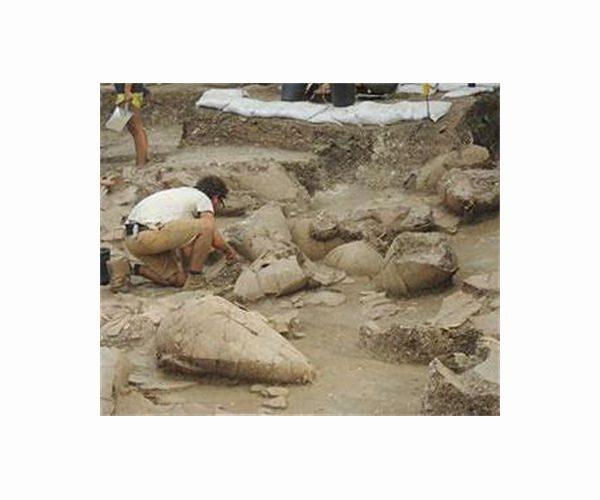 Archaeologists in Iraq find ancient wine press, carvings