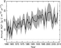 Northern Eurasia carbon sink remains largely unknown