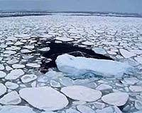 Warmer Air May Cause Increased Antarctic Sea Ice Cover
