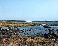 Early Arctic Thaw Could Have Chilling Effect