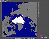 Arctic may be ice-free in 30 years: study