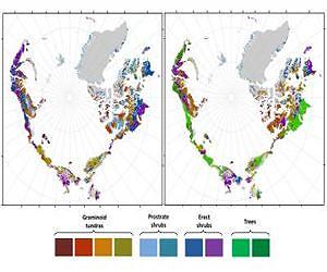 New models predict drastically greener Arctic in coming decades