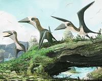 Late Cretaceous dinosaur-dominated ecosystem