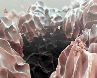 Discovery could energize development of longer-lasting batteries