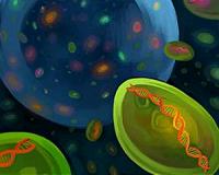 New mobile tool analyzes microbes in watery environs