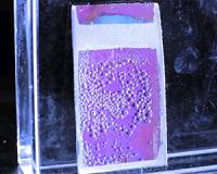 Artificial 'plants' could fuel the future