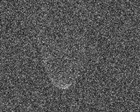 Arecibo Observatory Spies An Asteroid Close To The Sun