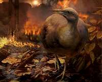 Stunning discovery offers glimpse of minutes following 'dinosaur-killer' Chicxulub impact