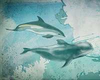 Whale 'whispers' keep young safe near predators: study