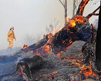 2 dead in Aust bushfire; Peru shakes; Pacific Sandra strengthens