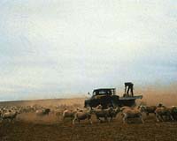 Agriculture Out Of The CPRS But Not Out Of The Woods