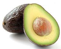 At least nine beetle species carry fungus threatening avocados