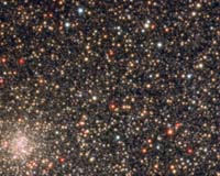 A Genetic Study Of The Galaxy