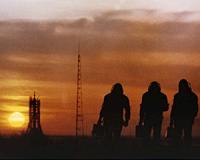 How spaceflight ages the immune system prematurely