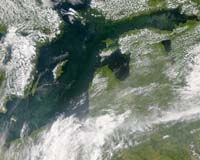 Baltic Sea gasps for air as marine dead zones spread: WWF