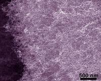 Researchers reduce expensive noble metals for fuel cell reactions
