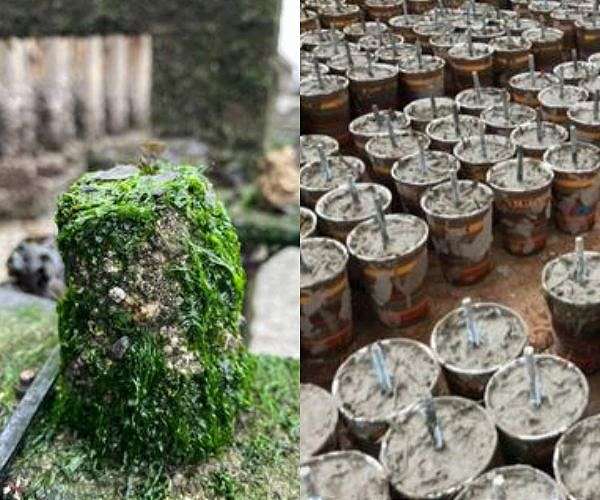 Biobased building material developed to enable large-scale marine restoration