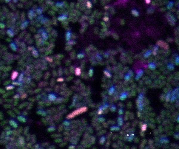 Safeguarding clean water for spaceflight missions