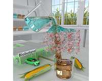Researchers make key advance toward production of important biofuel