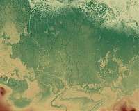 Ancient Maya canals and fields show early and extensive impacts on tropical forests