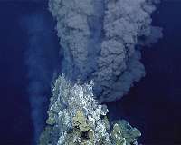 Hydrogen energy at the root of life