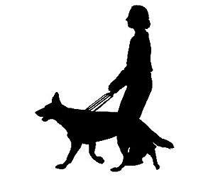 Wearable computing goes to the dogs