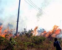 Industry Insists It's Fighting Asian Haze