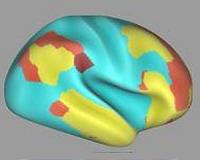 Our brain's secrets to success