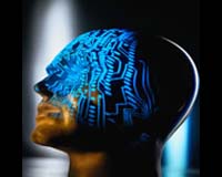 Neurons Hard Wired To Tell Left From Right
