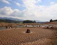 Chile's drought killing thousands of farm animals