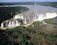 Protected forests in Brazil could cut billion tonnes of CO2: study