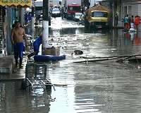 Brazil flooding unleashes caimans in Rio neighborhood